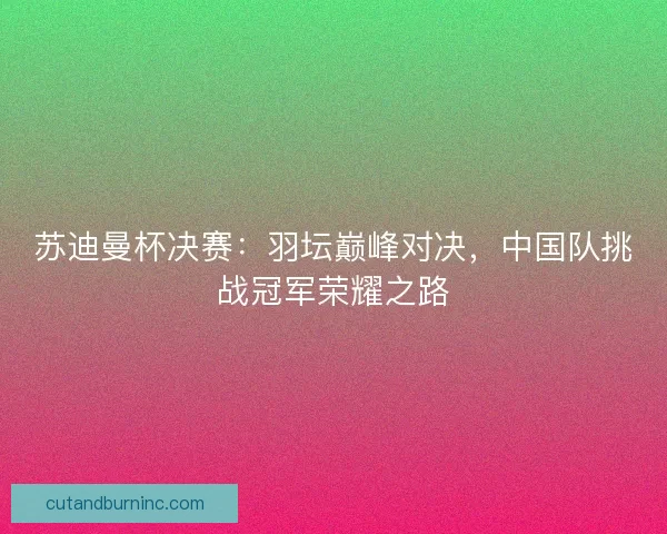 苏迪曼杯决赛：羽坛巅峰对决，中国队挑战冠军荣耀之路