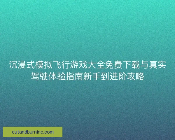 沉浸式模拟飞行游戏大全免费下载与真实驾驶体验指南新手到进阶攻略
