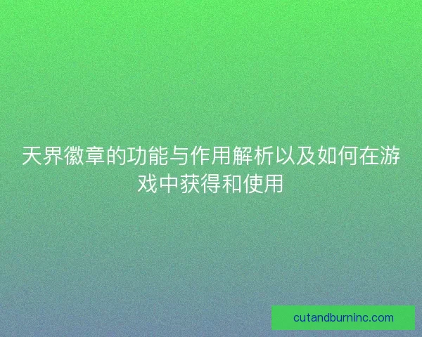 天界徽章的功能与作用解析以及如何在游戏中获得和使用
