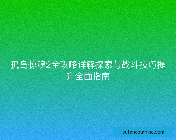 孤岛惊魂2全攻略详解探索与战斗技巧提升全面指南