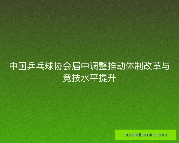 中国乒乓球协会届中调整推动体制改革与竞技水平提升 中国乒乓球协会届中调整推动体制改革与竞技水平提升
