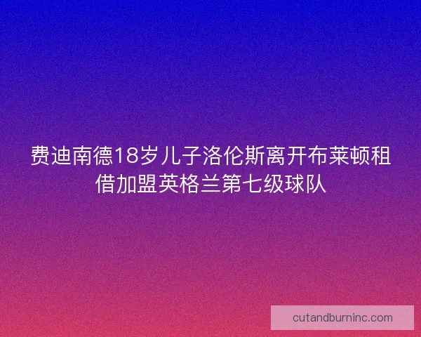 费迪南德18岁儿子洛伦斯离开布莱顿租借加盟英格兰第七级球队