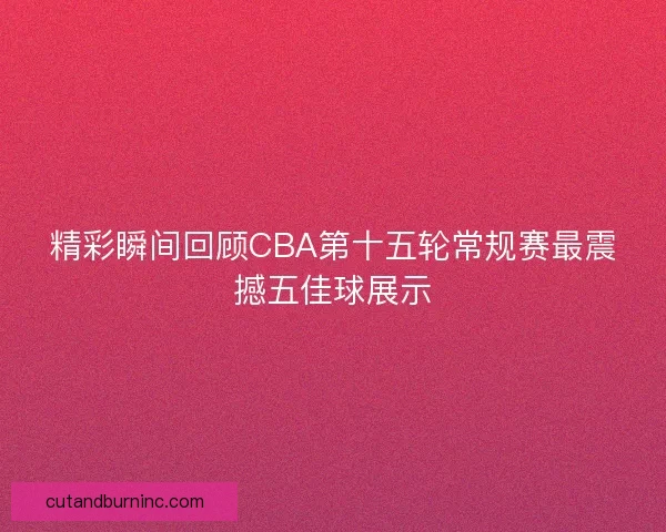 精彩瞬间回顾CBA第十五轮常规赛最震撼五佳球展示
