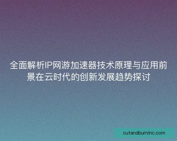 全面解析IP网游加速器技术原理与应用前景在云时代的创新发展趋势探讨