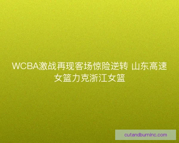 WCBA激战再现客场惊险逆转 山东高速女篮力克浙江女篮