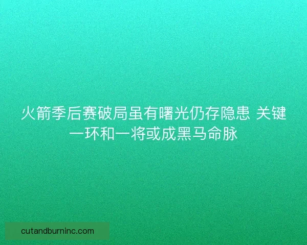 火箭季后赛破局虽有曙光仍存隐患 关键一环和一将或成黑马命脉