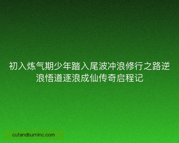 初入炼气期少年踏入尾波冲浪修行之路逆浪悟道逐浪成仙传奇启程记