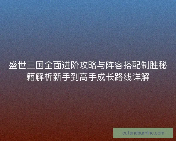 盛世三国全面进阶攻略与阵容搭配制胜秘籍解析新手到高手成长路线详解 盛世三国全面进阶攻略与阵容搭配制胜秘籍解析新手到高手成长路线详解